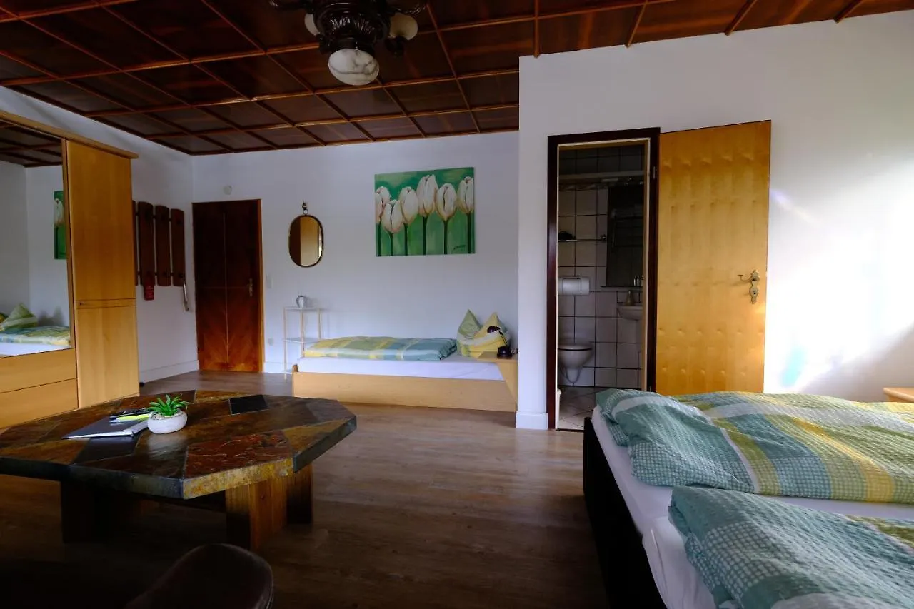 Pension Hofmann Oberasbach Guest house